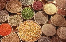 Different Types of Millets and Their Health Benefits